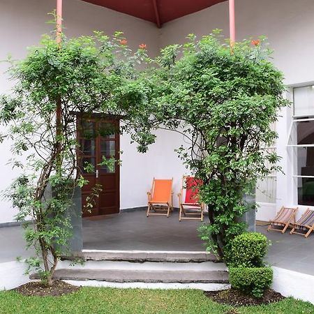 Готель La Casa De Las Magnolias Coyoacan Екстер'єр фото