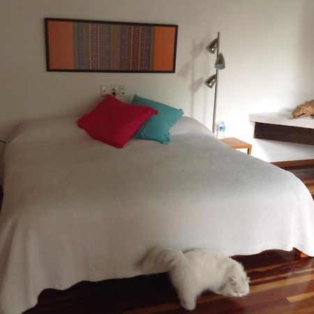 Готель La Casa De Las Magnolias Coyoacan Екстер'єр фото