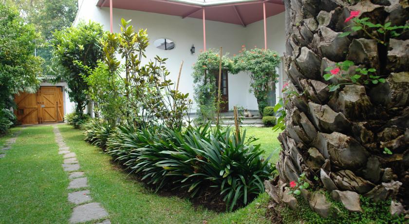 Готель La Casa De Las Magnolias Coyoacan Екстер'єр фото