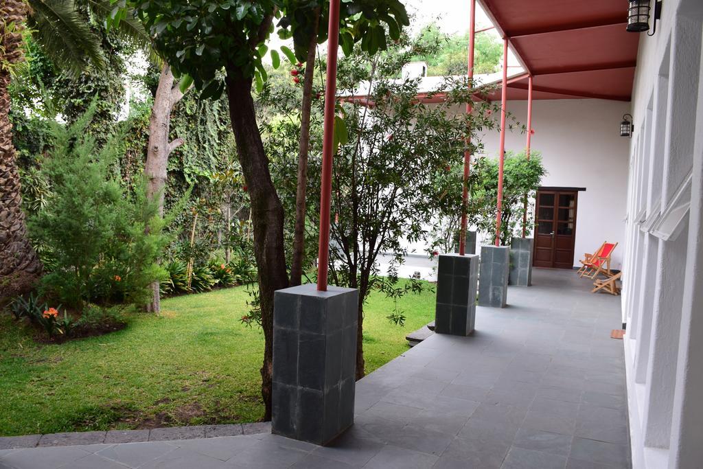 Готель La Casa De Las Magnolias Coyoacan Екстер'єр фото