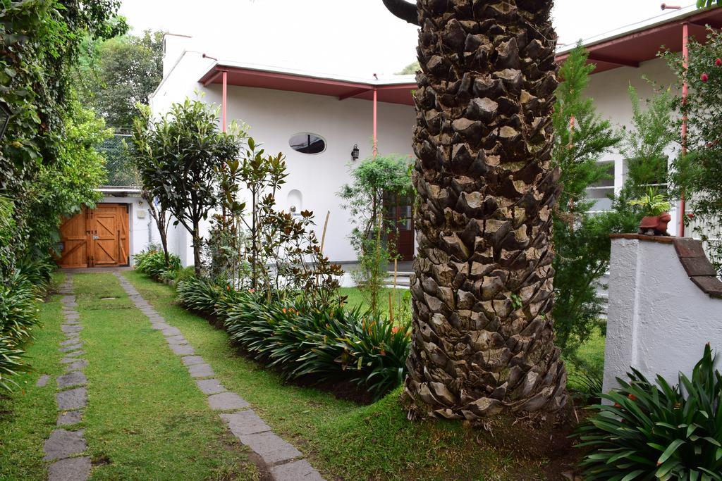 Готель La Casa De Las Magnolias Coyoacan Екстер'єр фото
