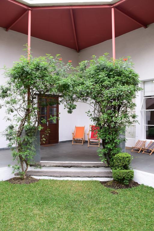 Готель La Casa De Las Magnolias Coyoacan Екстер'єр фото