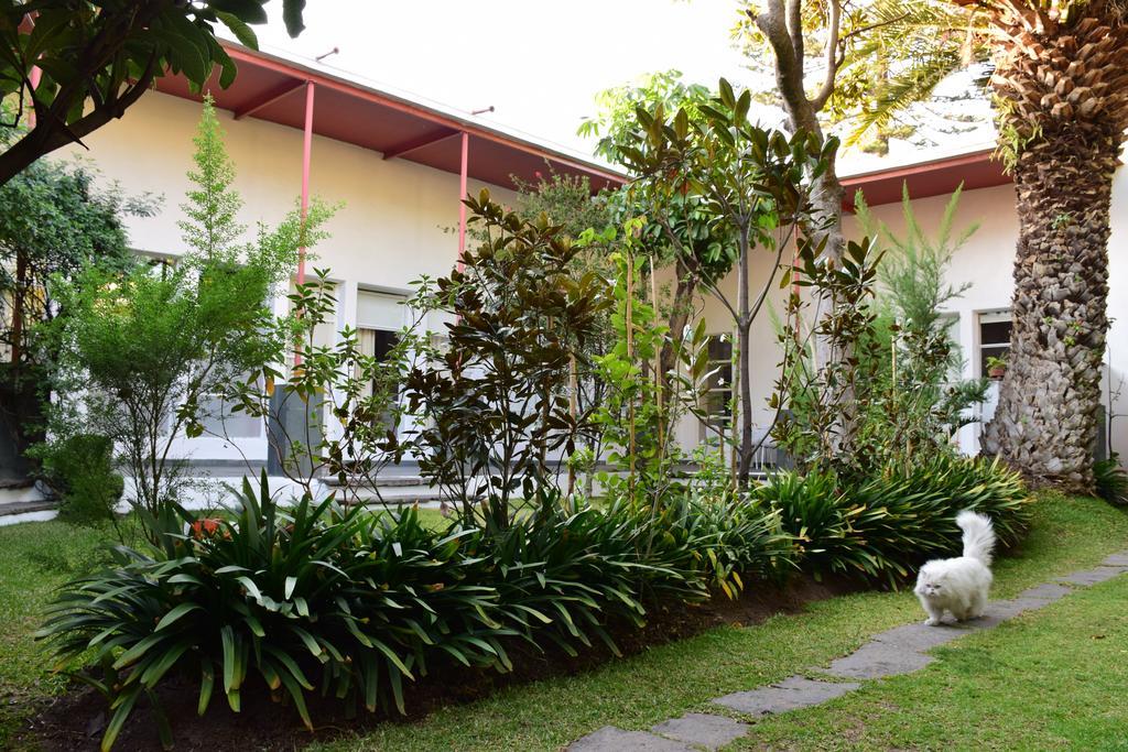 Готель La Casa De Las Magnolias Coyoacan Екстер'єр фото