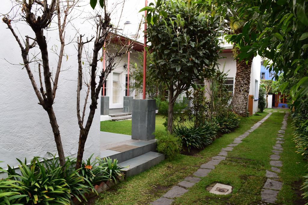 Готель La Casa De Las Magnolias Coyoacan Екстер'єр фото