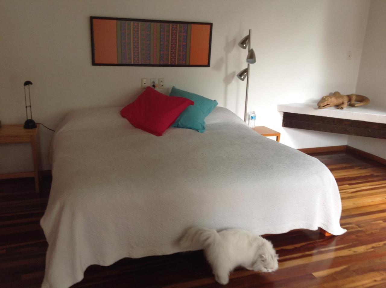Готель La Casa De Las Magnolias Coyoacan Екстер'єр фото